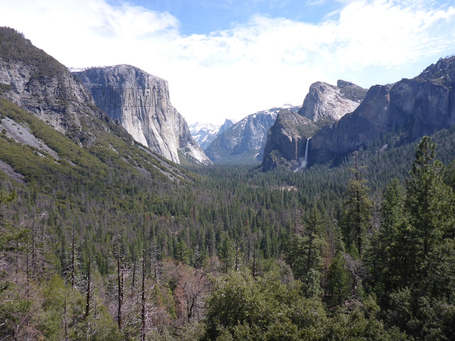 Yosemite National Park 2019